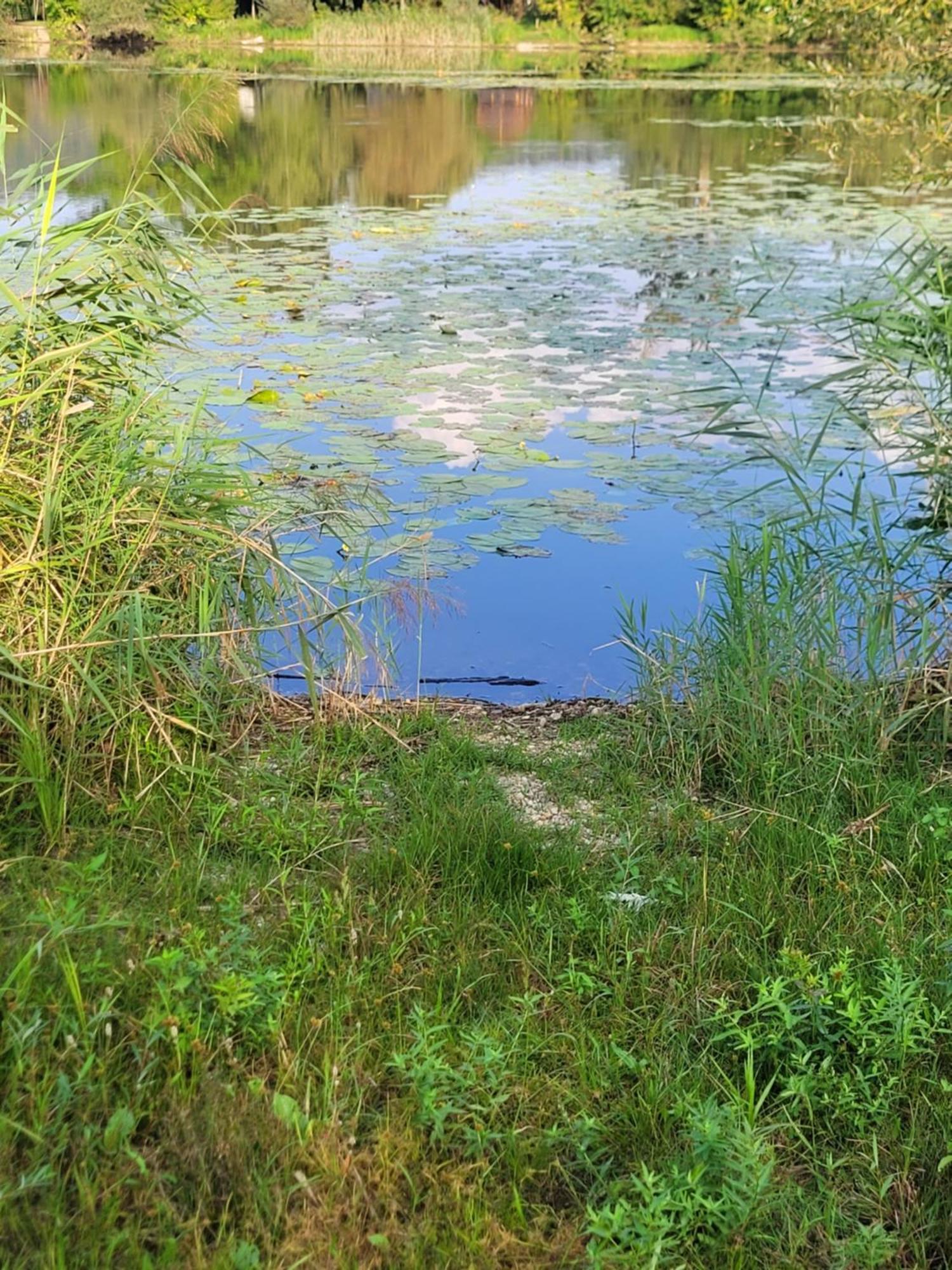 Manipura Villa Szemenyecsörnye Екстериор снимка
