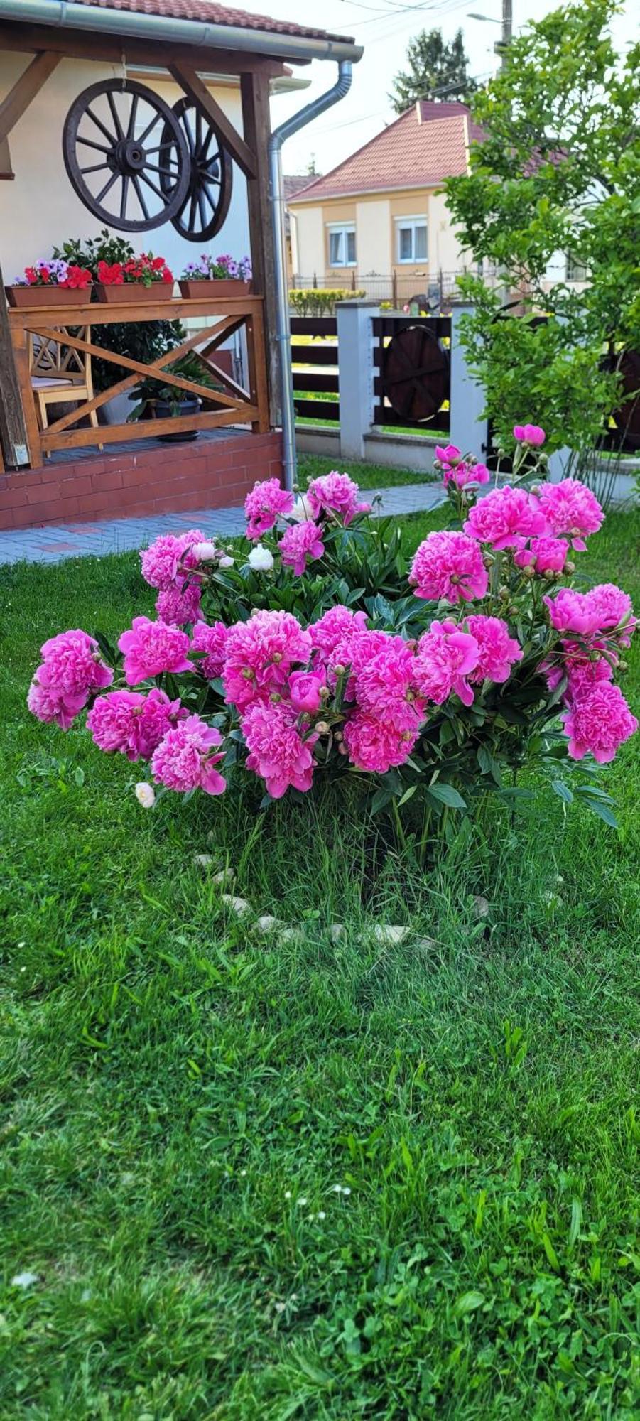 Manipura Villa Szemenyecsörnye Екстериор снимка